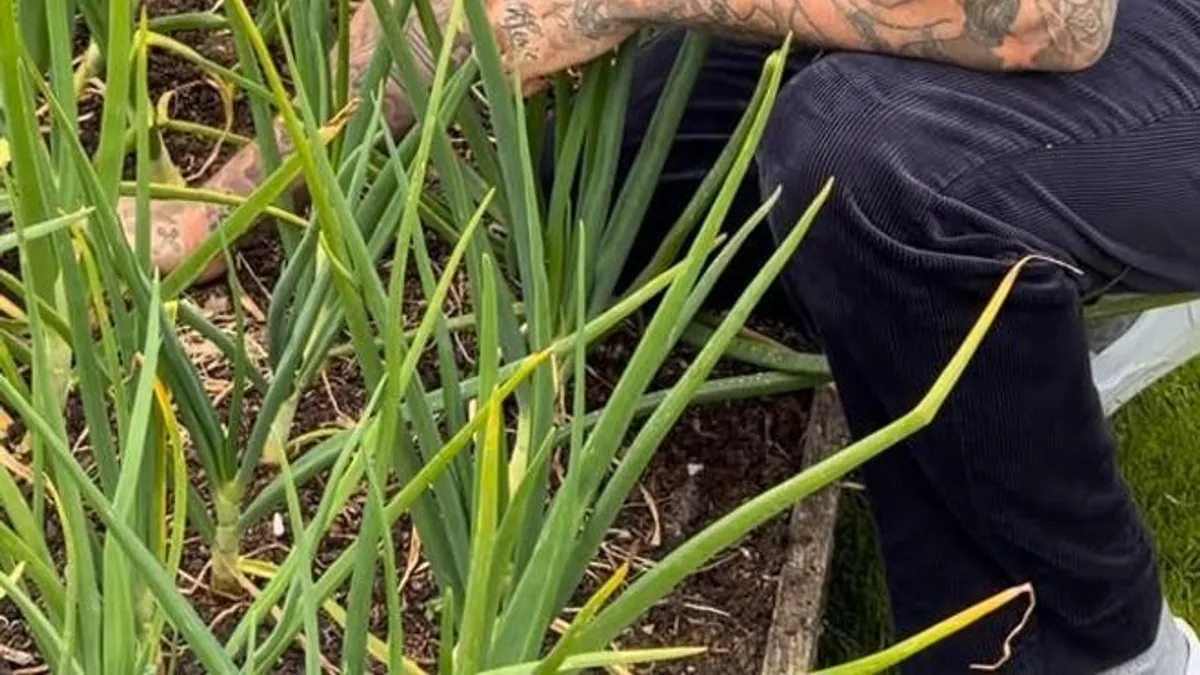David Beckham: Del fútbol a la vida rural con colmenas y huertos