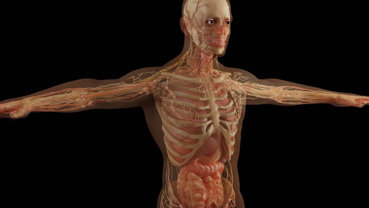 El Cuerpo Humano en el Espacio: Adaptaciones a la Vida Extraterrestre